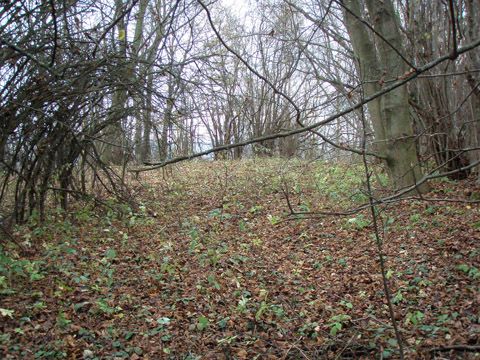 Foto 33